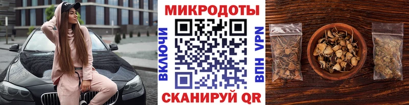 Купить где  Кубинка  Галлюциногенные грибы Psilocybine cubensis 
